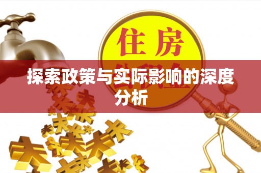 美浓探索政策与实际影响的深度分析