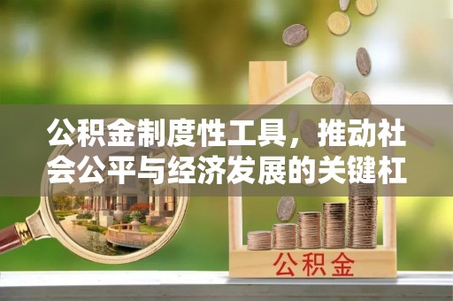 美浓公积金制度性工具，推动社会公平与经济发展的关键杠杆