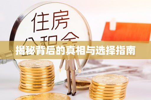 美浓揭秘背后的真相与选择指南