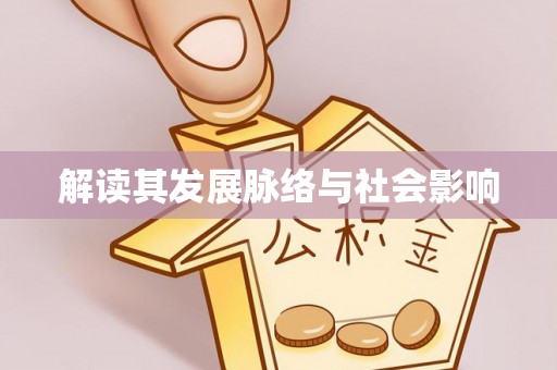 美浓解读其发展脉络与社会影响