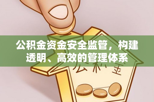 美浓公积金资金安全监管，构建透明、高效的管理体系