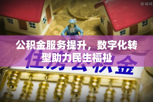 美浓公积金服务提升，数字化转型助力民生福祉