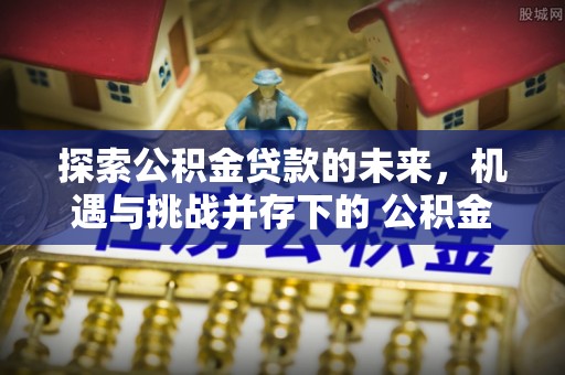 美浓探索公积金贷款的未来，机遇与挑战并存下的 公积金贷款风险防控