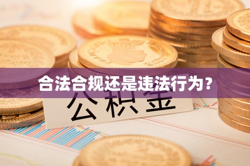 美浓合法合规还是违法行为？