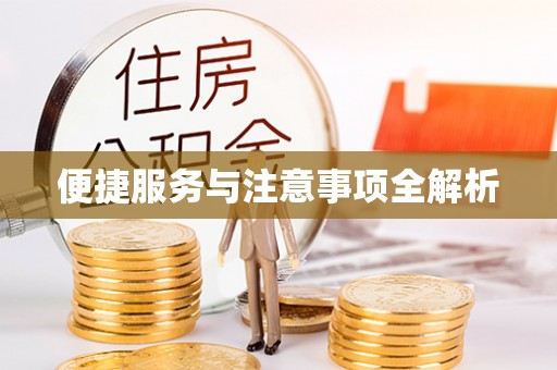 美浓便捷服务与注意事项全解析