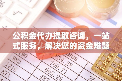美浓公积金代办提取咨询，一站式服务，解决您的资金难题