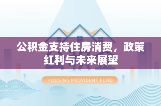 美浓公积金支持住房消费，政策红利与未来展望