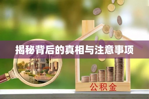 美浓揭秘背后的真相与注意事项