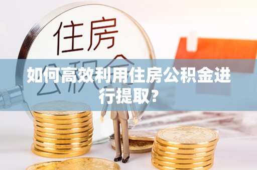 美浓如何高效利用住房公积金进行提取？