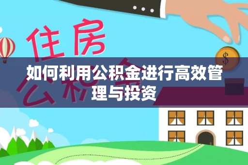 美浓如何利用公积金进行高效管理与投资