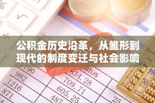 美浓公积金历史沿革，从雏形到现代的制度变迁与社会影响