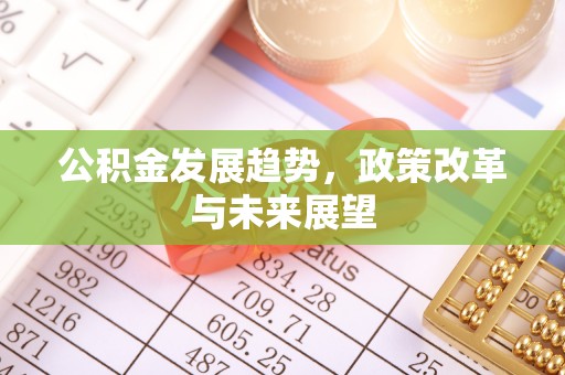 美浓公积金发展趋势，政策改革与未来展望