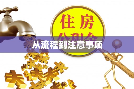 美浓从流程到注意事项