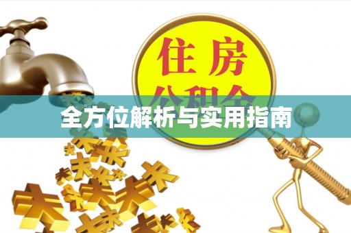 美浓全方位解析与实用指南