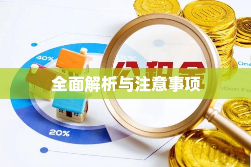 美浓全面解析与注意事项