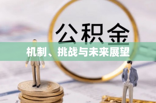 美浓机制、挑战与未来展望
