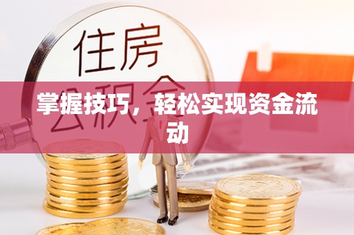 美浓掌握技巧，轻松实现资金流动