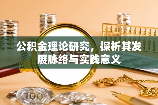 美浓公积金理论研究，探析其发展脉络与实践意义