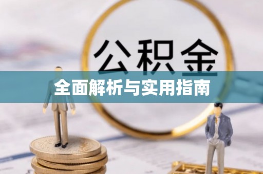美浓全面解析与实用指南