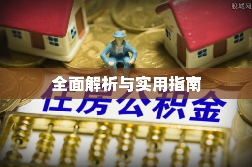 美浓全面解析与实用指南