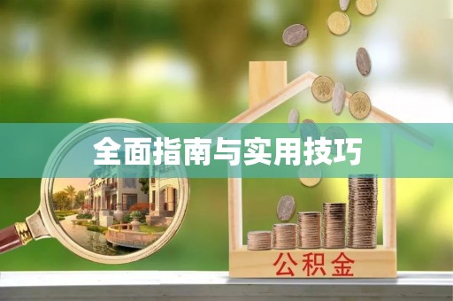 美浓全面指南与实用技巧