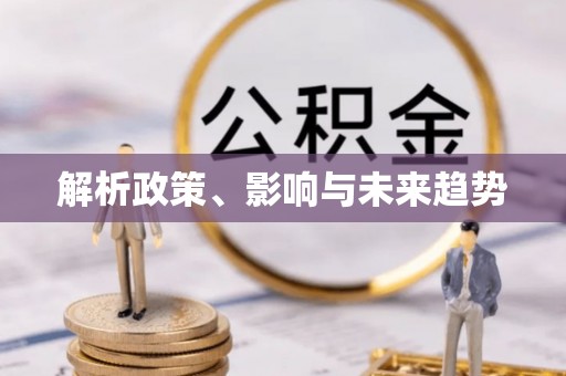 美浓解析政策、影响与未来趋势