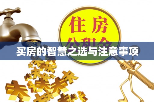 美浓买房的智慧之选与注意事项