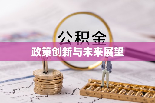 美浓政策创新与未来展望