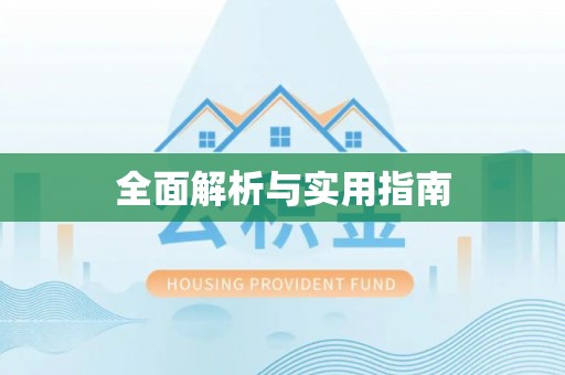 美浓全面解析与实用指南